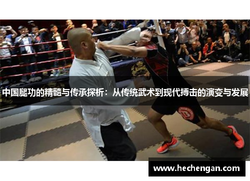 中国腿功的精髓与传承探析：从传统武术到现代搏击的演变与发展