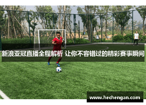 新浪亚冠直播全程解析 让你不容错过的精彩赛事瞬间