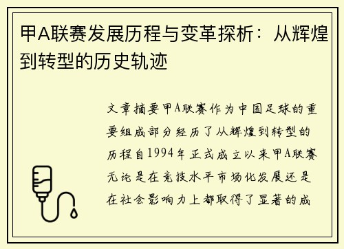 甲A联赛发展历程与变革探析：从辉煌到转型的历史轨迹